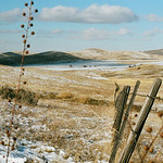 Heather Brincko's photo