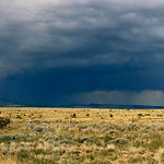 Heather Brincko's photo
