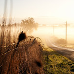 Heather Brincko's photo