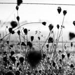 Heather Brincko's photo