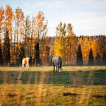 Heather Brincko's photo