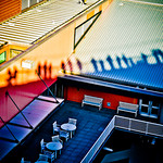 Heather Brincko's photo