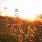 Heather Brincko's photo